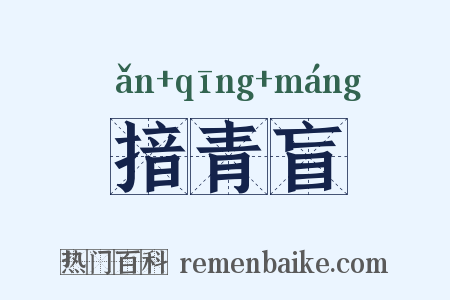 揞青盲是什么意思的图片